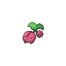 Cherubi icon
